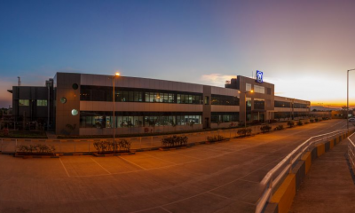 Pune-plant-sundown-1