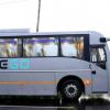 NueGo-1
